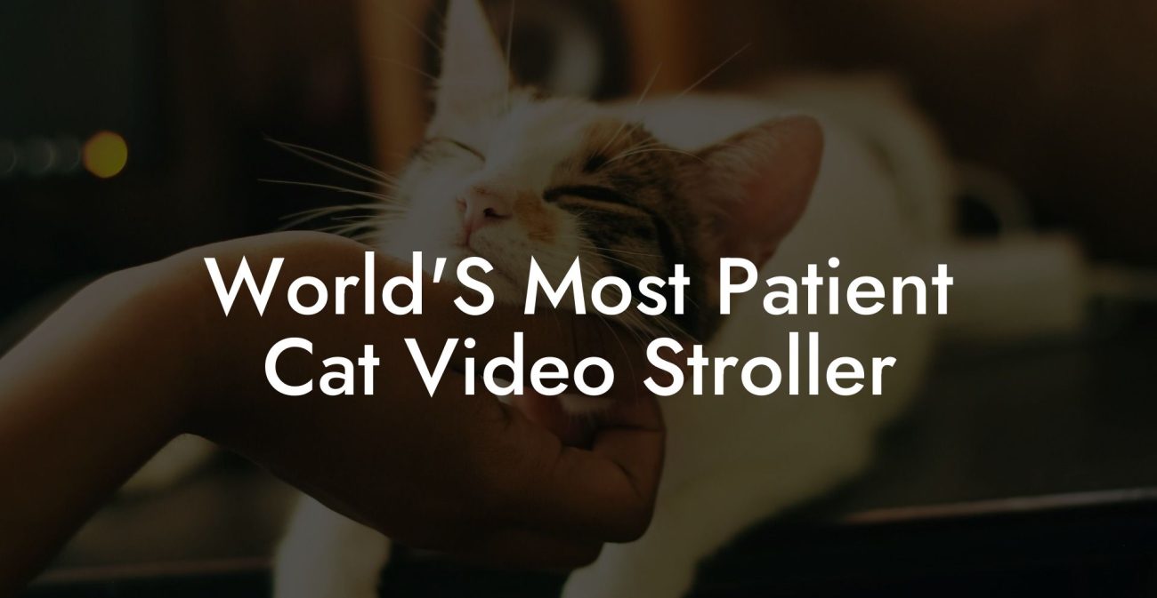 World'S Most Patient Cat Video Stroller
