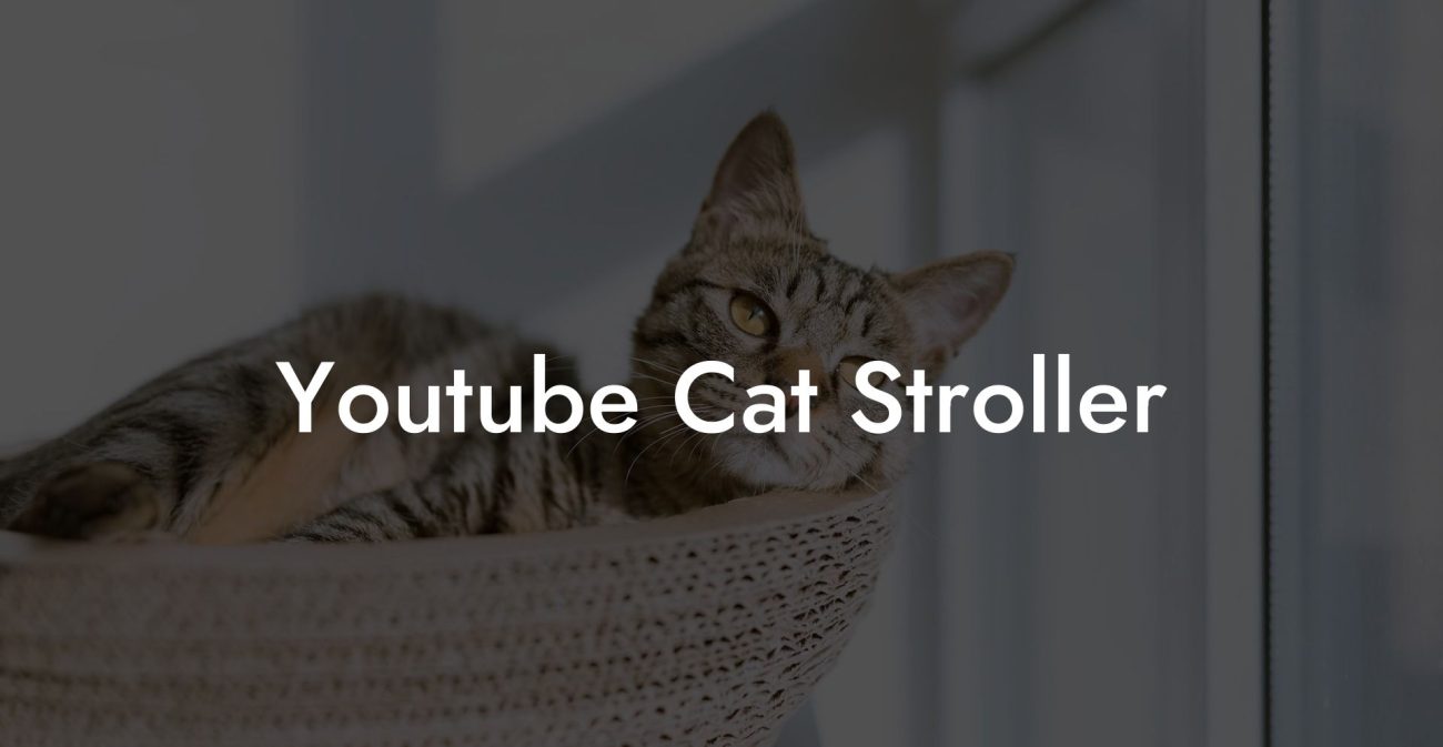 Youtube Cat Stroller